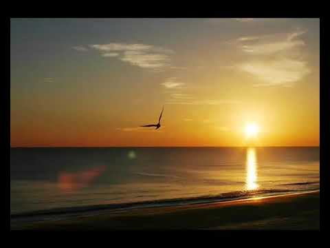 Te-am ales dintre mii și mii de mii