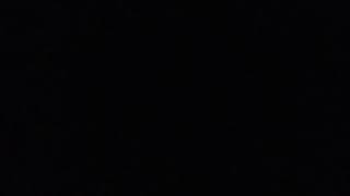 Weird al show (theme)