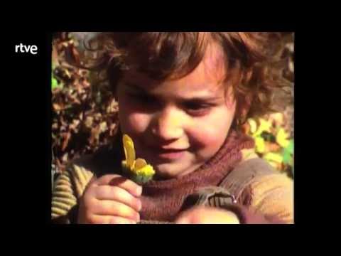 Barrio Sésamo   Caponata   S01E10