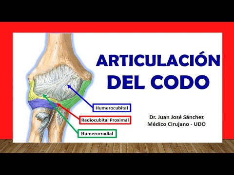🥇 ELBOW JOINT. Easy, Quick and Simple