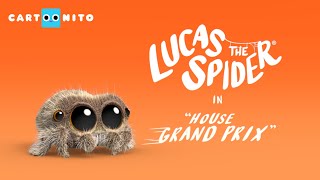 Lucas the Spider - House Grand Pro - Short