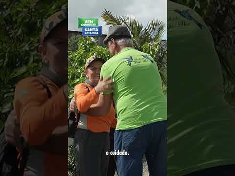 Peregrinação em Santa Catarina: O Emocionante Caminho do Louvor