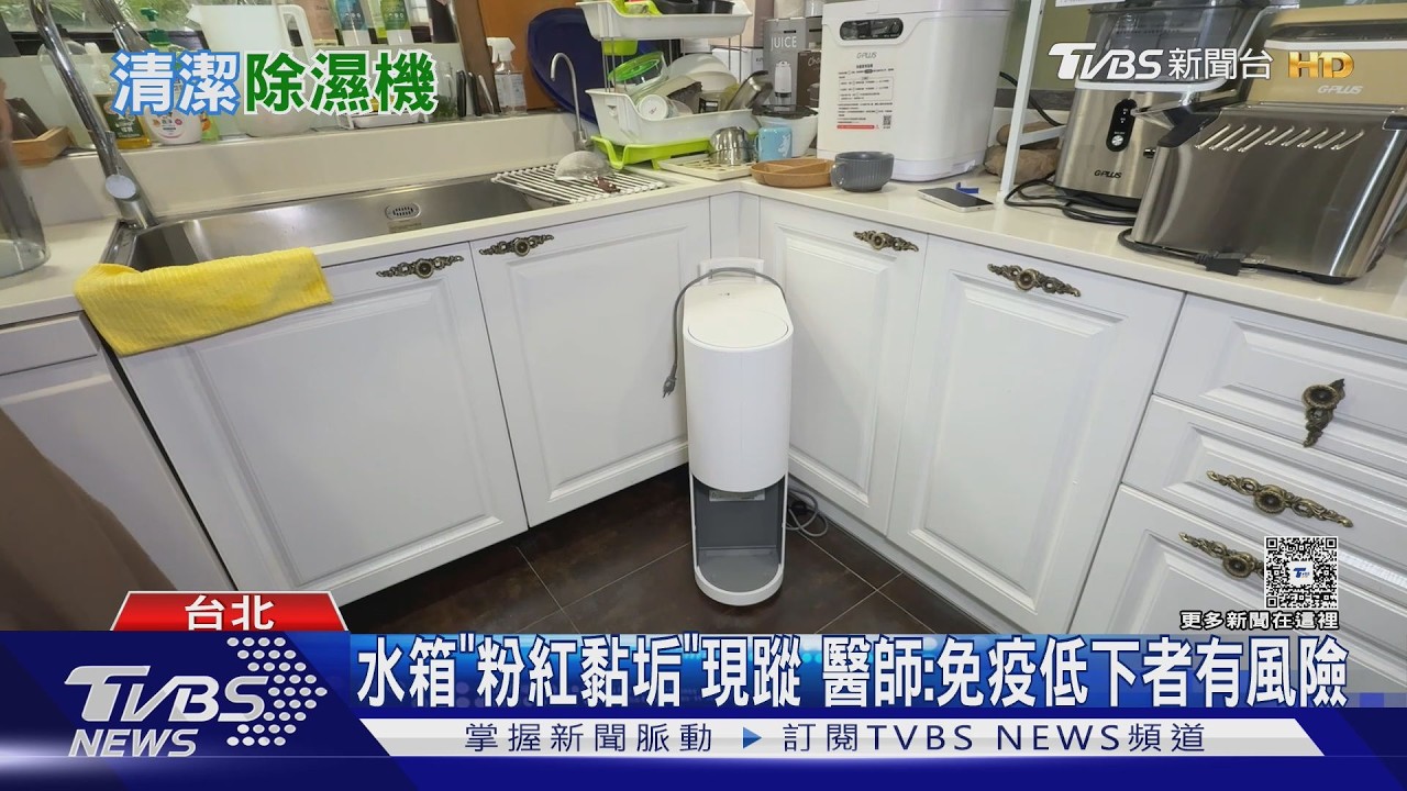 影音/水箱變粉紅色別輕忽!醫揭除濕機「細菌溫床」 嚴重恐敗血症