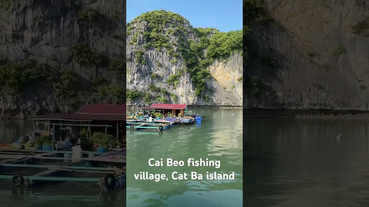 YouTube Short thumbnail