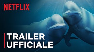 Trailer ufficiale [Sottotitolato]