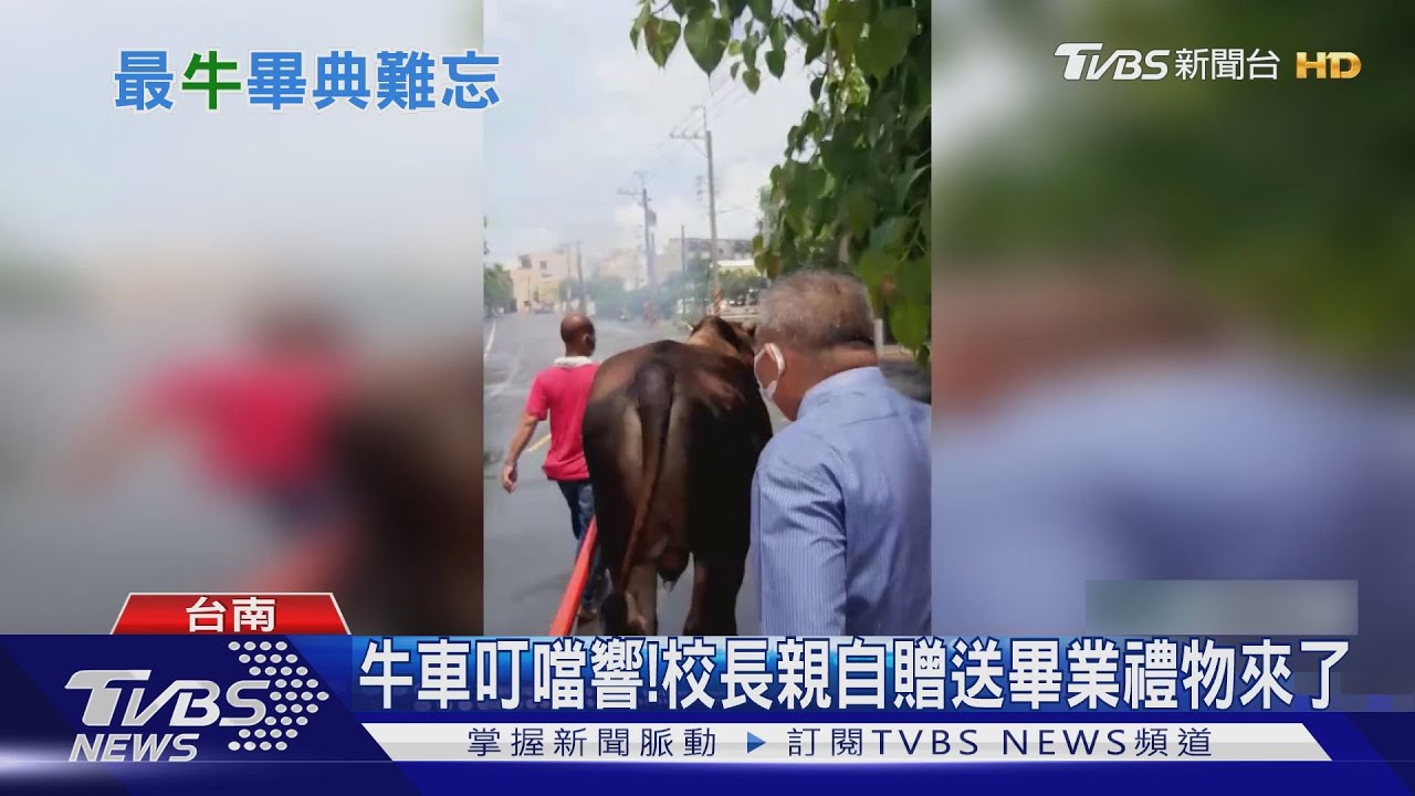 難忘畢典！校長駕牛車送禮物　老師外送證書