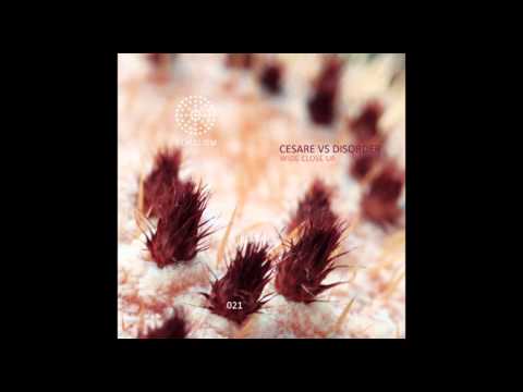 Cesare vs Disorder - Running Late - Serialism 021
