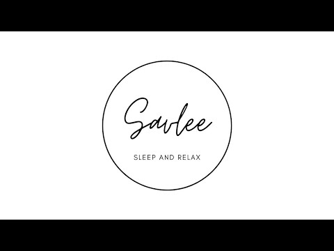 Business Initiation Practice _ Savlee 2021 B