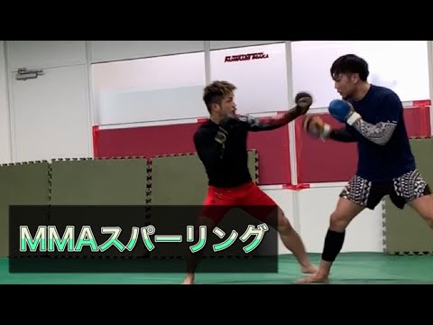 [ MMAスパー ] vsフェザー級