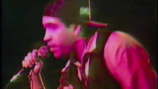 DEAD MILKMEN Roxy West Hollywood 2 13 1989 a PUNK CONCERT filmed by Video Louis LApunk13 com{137}