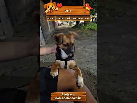 Vídeo de Luke