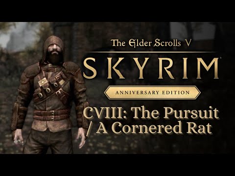 Let's Play Skyrim as Dragonborn 108: The Pursuit & A Cornered Rat
