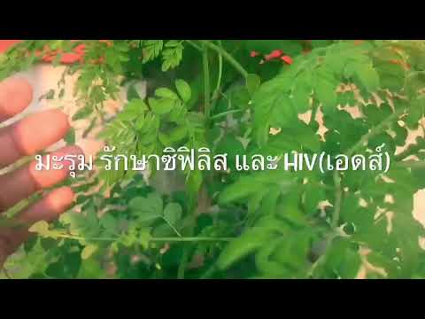 ซื้อผู้หญิงเชื้อโรคเซนต์ปีเตอร์สเบิร์ก สิวเล็ก ๆ บนอวัยวะเพศชาย