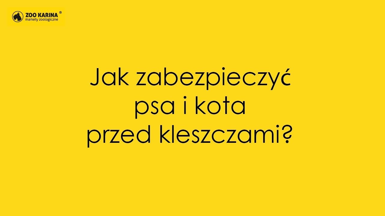 Jak zabezpieczyć psa i kota przed kleszczami