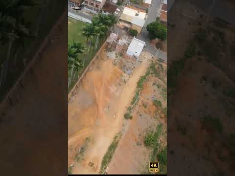 Simonésia minas gerais