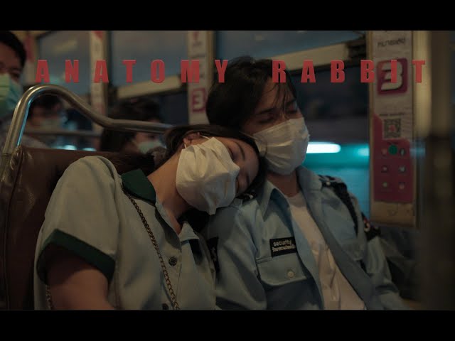 ขอให้โลกนี้ใจดีกับเธอ - ANATOMY RABBIT