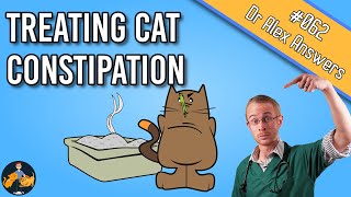 Cat Constipation: Home Remedy, Treatment and Prevention - Cat Health Vet Advice