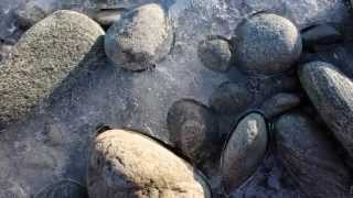 Cesare Cremonini, Le tue parole fanno male