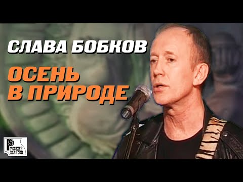 Слава Бобков - Осень в природе (Live 2007)