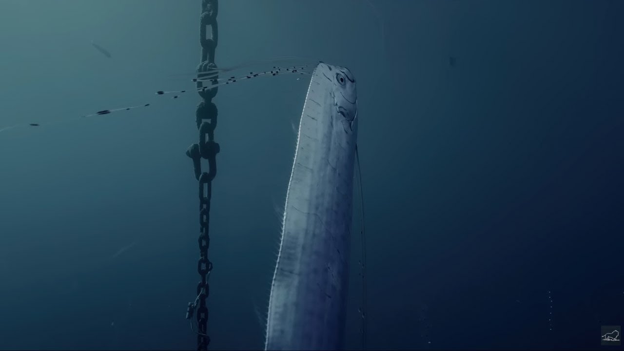 The Giant Sea Serpent, or "King of the Herrings | Documentary