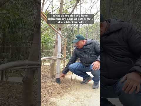 How to protect wooden fencing from termites