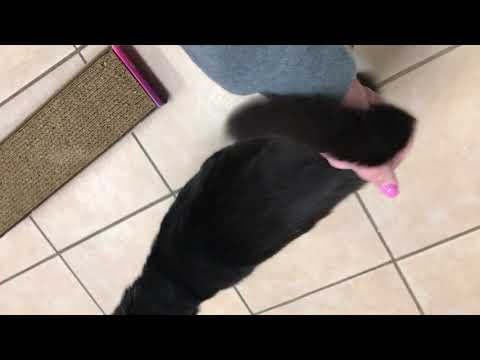 download lagu mp3 mp4 Little Guild Of Saint Francis, download lagu Little Guild Of Saint Francis gratis, unduh video klip Little Guild Of Saint Francis