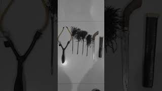 Download lagu #busur #makassar #shorts mp3