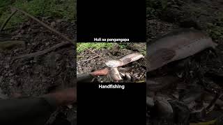 Download lagu Full video: https://youtu.be/WoeAHwbaAWU?si=x2aykt0ootwky45x mp3