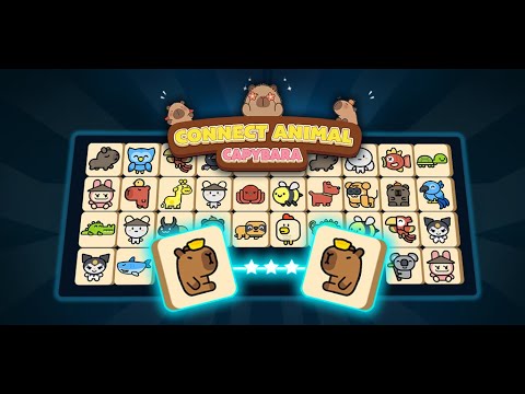 Connect Animal : Capybara
