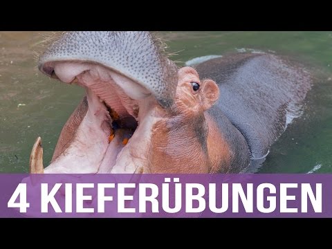 Schmerzen in der rechten Seite zwischen dem Bauch und Rücken Wie radikuläre Rückenschmerzen mit zervikaler Osteochondrose behandeln