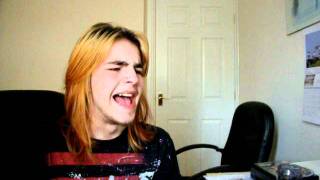 The Perfect Crime - Faith No More (Cover)