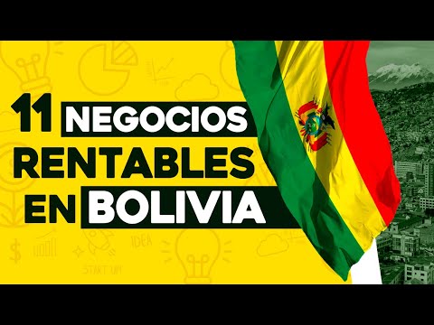 , title : '✅ 11 Ideas de Negocios Rentables en Bolivia con Poco Dinero 🤑'