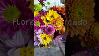 #Shorts FLORES DE MERCADO