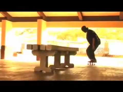 Stussy - In4mation Hawaii