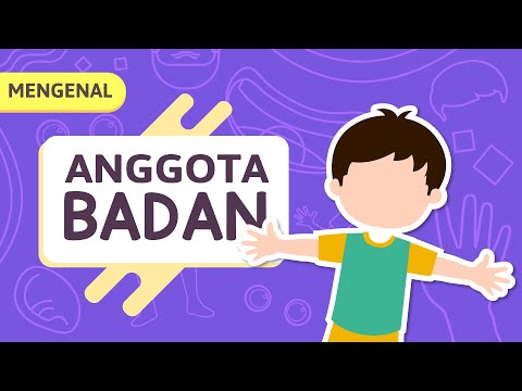 Kartun Anak Muslim : Belajar Mengenal Anggota Tubuh Untuk Anak TK (Video Edukasi Anak) – Yufid Kids