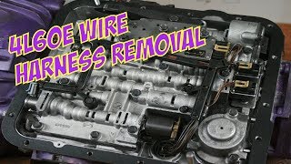 ⫷ 4l60e harness removal ⫸