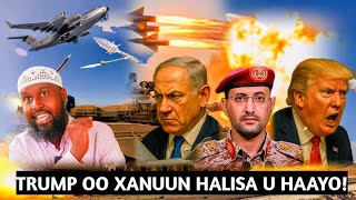 Download lagu TRUMP OO CAAFIMADKII AAD LOOGA DEYRIYAY; ILHAN OMAR OO WARCULUS SO SAARTAY; USA NINKII WEERARAY mp3 Download lagu TRUMP OO CAAFIMADKII AAD LOOGA DEYRIYAY; ILHAN OMAR OO WARCULUS SO SAARTAY; USA NINKII WEERARAY mp3