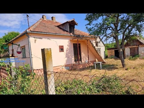 Nena e shokut vraponte cdo dite