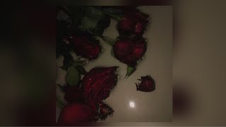 Zella Day - High VANIC remix (slowed)