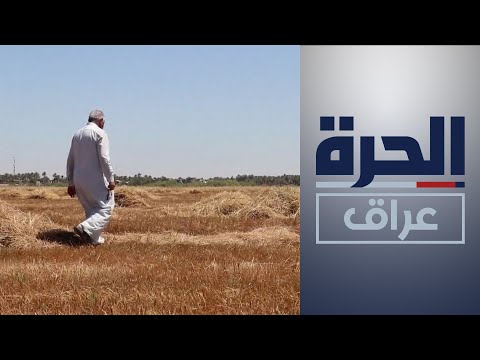شاهد بالفيديو.. إجراءات احتياطية لمنع حدوث حرائق تطال حقول الحنطة في ديالى