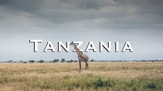 Great Africa Safari in Tanzania  Tarangire Nationa