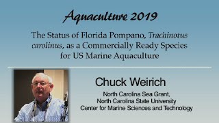 Download Lagu Chuck Weirich: Florida Pompano, Trachinotus carolinus, Aquaculture Thumbnail