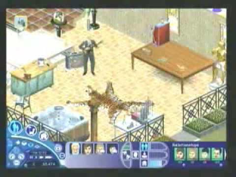 Les Sims : Ca vous Change la Vie PC