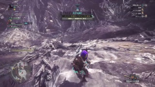 MHW 黙々こなす