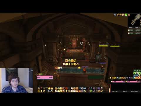 Holy Paladin Tips: Dealing with Bursting and Grievous in BFA