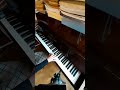 The Shadow Of The Mountain Piano Romya F3965
