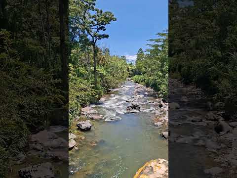 Río campoalegre (sector peaje tarapaca) #ejecafeterocolombia #caldas #risaralda 🇨🇴☀️