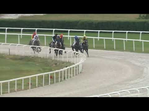 2020.06.14. 04. futam - SZÉPALMAPUSZTAI HENDIKEP (V.o.) (szintetikus pálya)