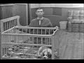 Mister Rogers Neighborhood Season 01 Episode 04 05 06