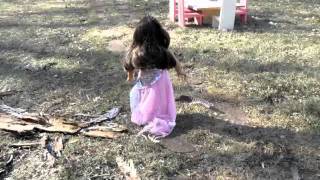 DON&#39;T WAIT!! by addison road